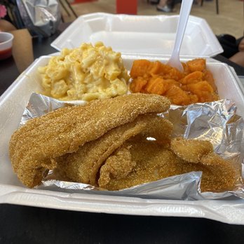 That's My Dog - Fish plate for Sunday soul food day - Hot Dogs Near Me - Katy, Texas That's My Dog - Fish plate for Sunday soul food day - Hot Dogs Near Me - Katy, Texas
