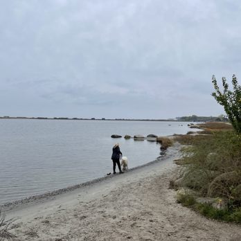 Amager Strandpark - Beaches Near Me - København S, 84