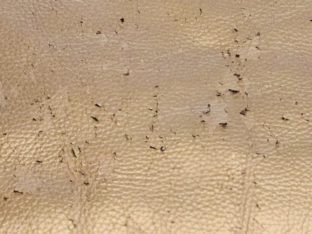 THE LEATHER SOFA Updated August 2024 3100 Grapevine Mills Pkwy