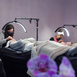 Dollface Beauty & Wellness