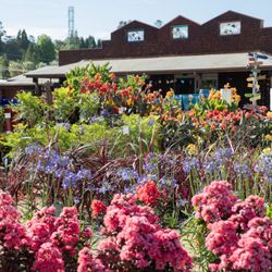 Green Acres Nursery & Supply at Eisley’s