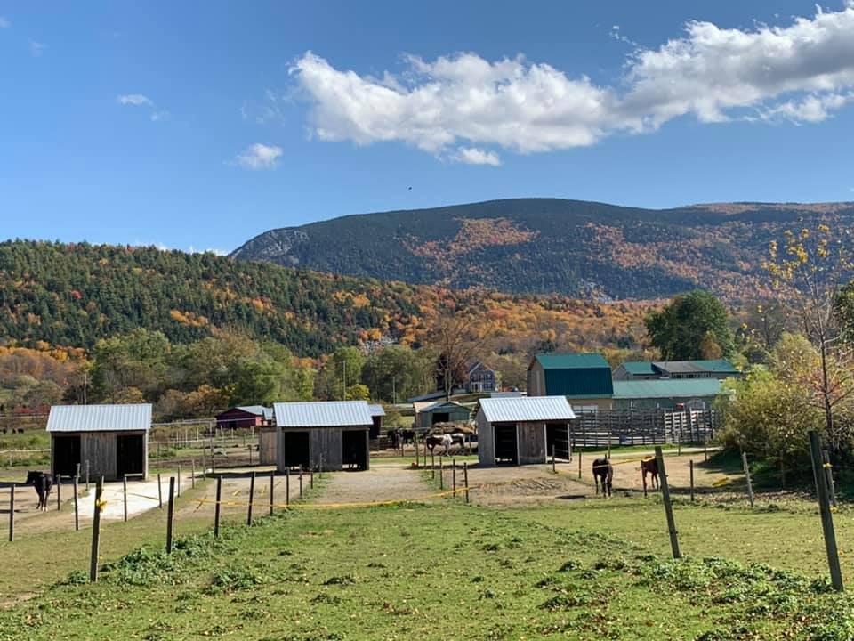 Circle F Stables - equestrian in Wallingford, VT