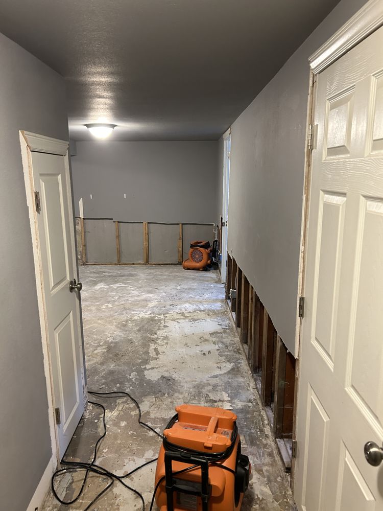 Vertical Restoration - mold inspector in Greenwood Village, CO