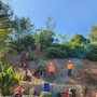 Photo of Gonzalez Brothers Tree Service