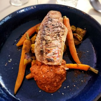 Tzeva - Snapper - Modern European Near Me - Sarasota, Florida