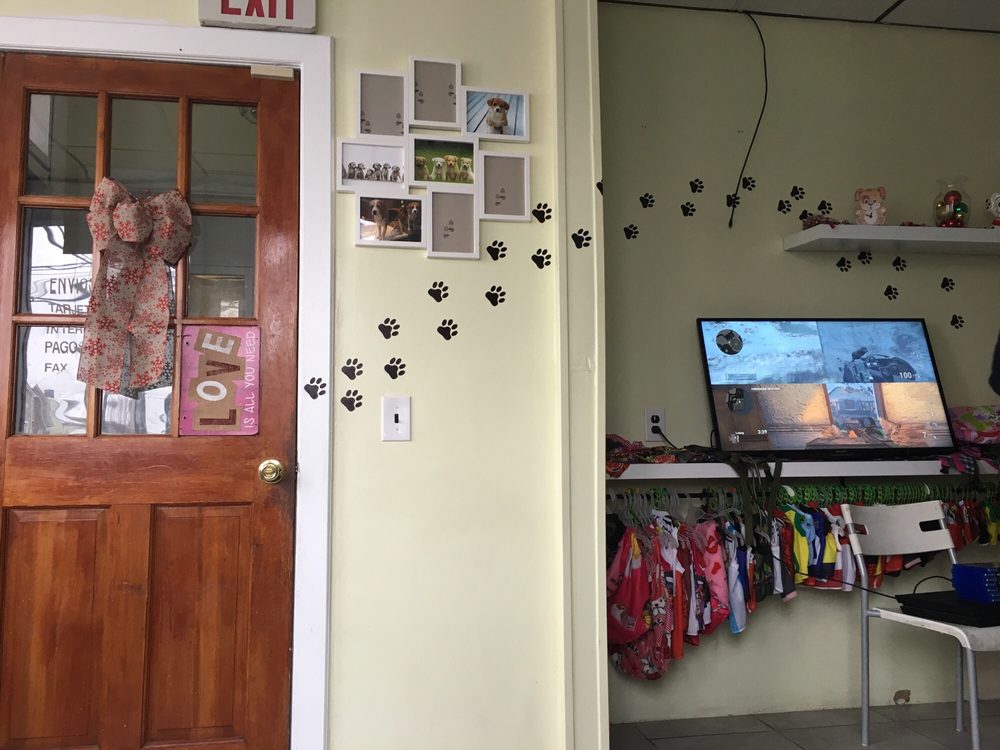 HAPPY DOGS GROOMING Updated August 2024 11 Photos 301 Washington Ave, Elizabeth, New