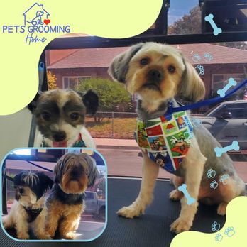 Pets Grooming Home - Pet Groomers Near Me - Simi Valley, California Pets Grooming Home - Pet Groomers Near Me - Simi Valley, California