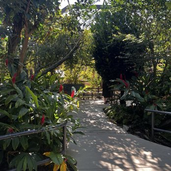Butterfly World - Rainforest - Botanical Gardens Near Me - Coconut Creek, Florida