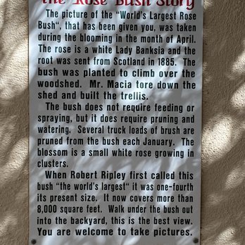 Rose Tree Museum and Books - Museums Near Me - Tombstone, Arizona Rose Tree Museum and Books - Museums Near Me - Tombstone, Arizona
