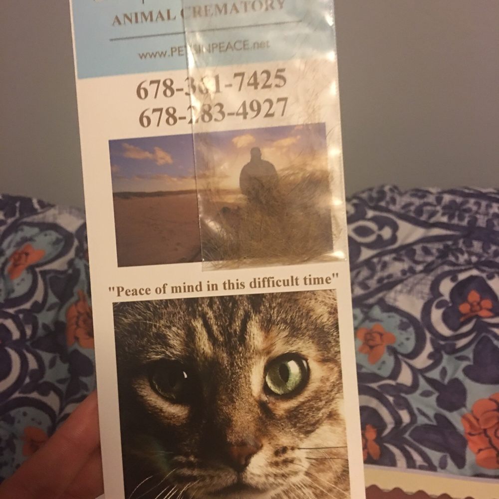 Pet Angel Memorial Center - Fur sample - Pet Cremation Services Near Me - Austell, Georgia Pet Angel Memorial Center - Fur sample - Pet Cremation Services Near Me - Austell, Georgia