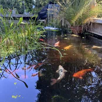 Blake's Coastal Nursery - Nurseries & Gardening Near Me - Gleneden Beach, Oregon