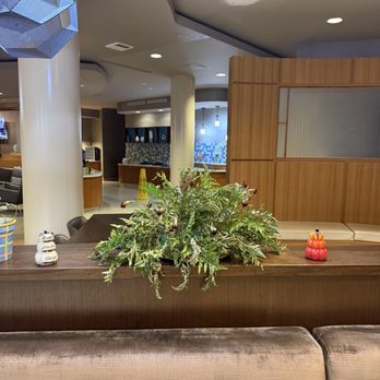 SpringHill Suites Hampton - Hotels Near Me - Hampton, Virginia SpringHill Suites Hampton - Hotels Near Me - Hampton, Virginia