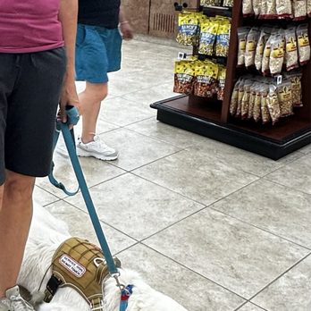 K9 Department - Pet Training Near Me - Bushnell , Florida K9 Department - Pet Training Near Me - Bushnell , Florida