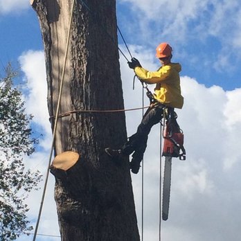 Blake's Quality Services - Tree Services Near Me