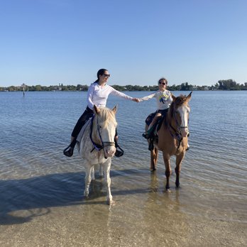 Florida Beach Horses - Beaches Near Me - Bradenton, Florida