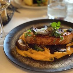 Salmon with butternut squash purée