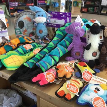 Food 4 Paws - Pet Stores Near Me - Cedar Rapids, Iowa Food 4 Paws - Pet Stores Near Me - Cedar Rapids, Iowa