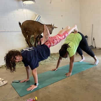 Shenanigoats Community Services - Yoga Near Me - Madison, Tennessee