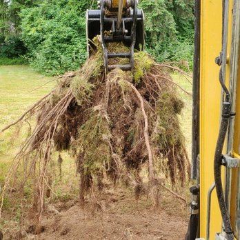 Seatown Landscaping - Stump removal - Tree Services Near Me Seatown Landscaping - Stump removal - Tree Services Near Me