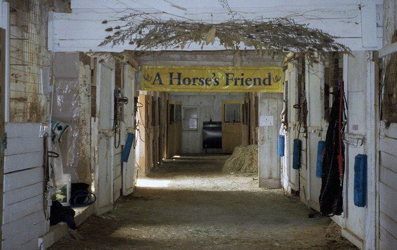 Social spots from A Horse's Friend