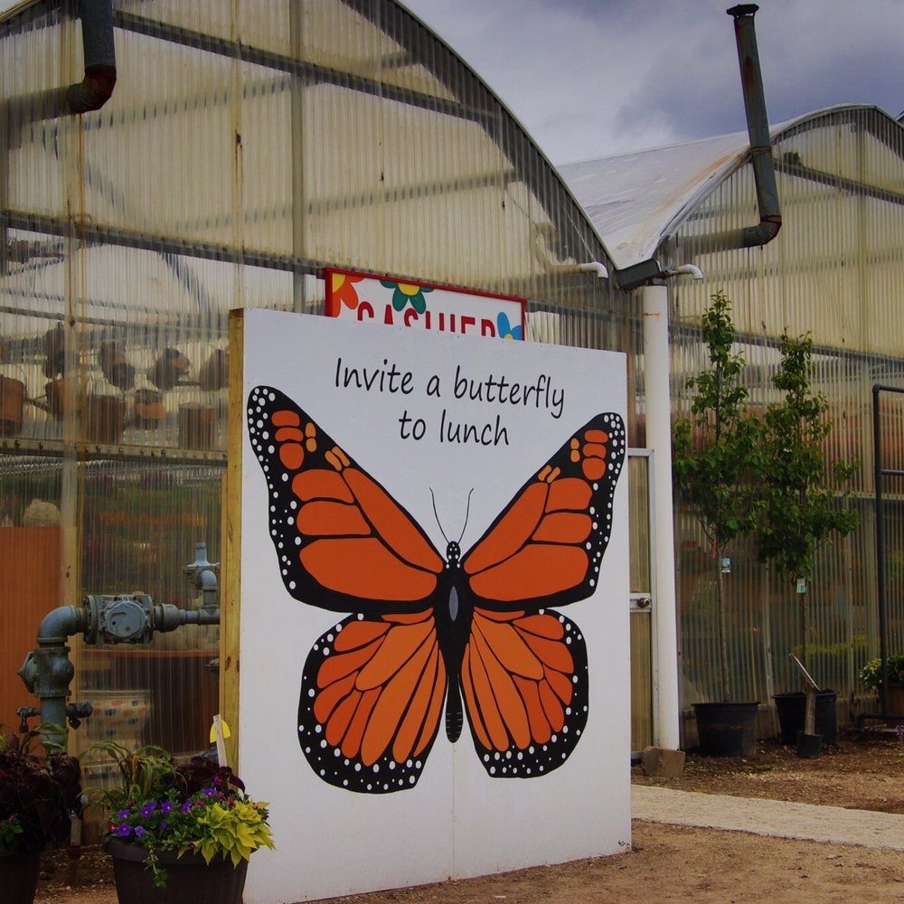 Hubbs Greenhouse - Nurseries & Gardening Near Me - Marengo, Illinois