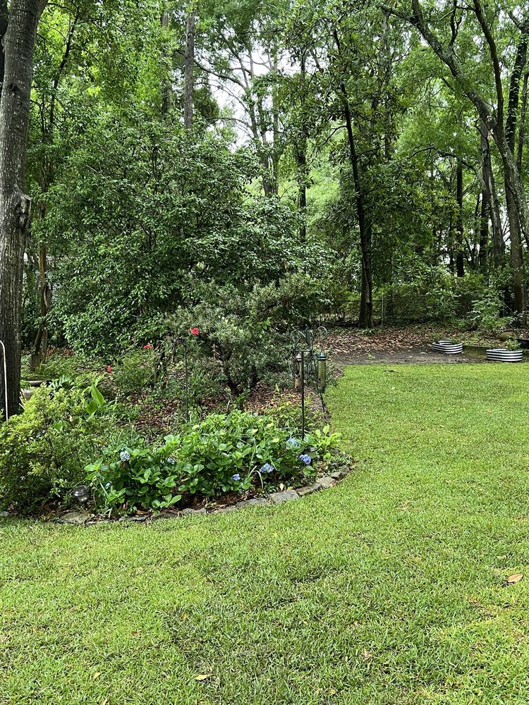 Stephenson Landscapes - tree service in North Charleston, SC