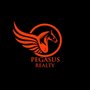 Photo of Pegasus Realty