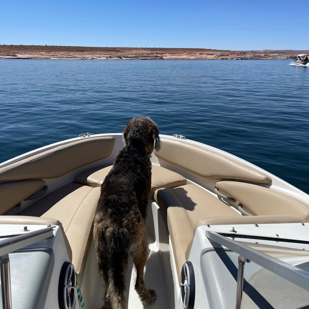 Skylight Lake Powell - Ready for adventure! - Boating Near Me - Big Water, Utah Skylight Lake Powell - Ready for adventure! - Boating Near Me - Big Water, Utah