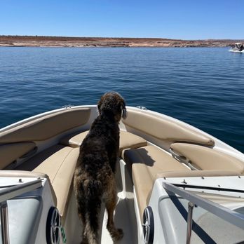 Skylight Lake Powell - Ready for adventure! - Boating Near Me - Big Water, Utah Skylight Lake Powell - Ready for adventure! - Boating Near Me - Big Water, Utah