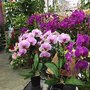 Photo of Pacific Florists