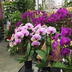 Pacific Florists
