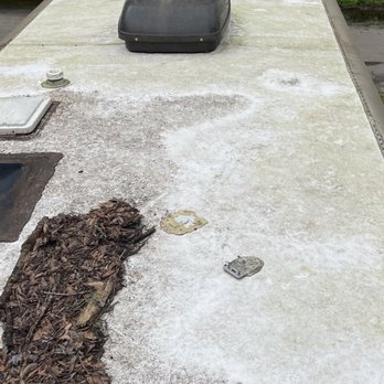 D & L RV Detailing - Pre wash roof with 3 years of oak tree accumulation - Auto Detailing Near Me - Crawfordville , Florida D & L RV Detailing - Pre wash roof with 3 years of oak tree accumulation - Auto Detailing Near Me - Crawfordville , Florida
