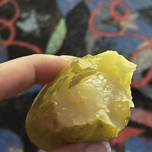 SKATE ROCK CITY - 121 Photos & 173 Reviews - Skating Rinks - 4680 ...