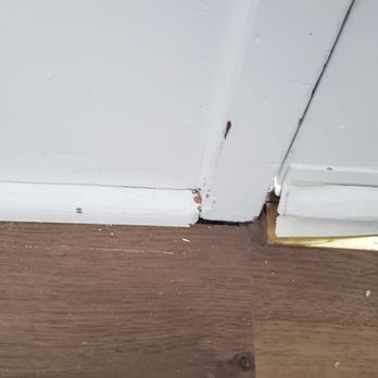Vacant Interiors - Baseboards and front door... chipping or spots missed - Painters Near Me - Aurora, Colorado