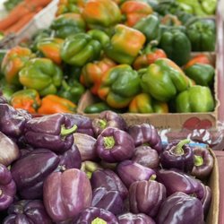 Country farms II - Many varieties of peppers