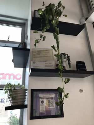 Down 2 Earth Plant Based Cuisine by null