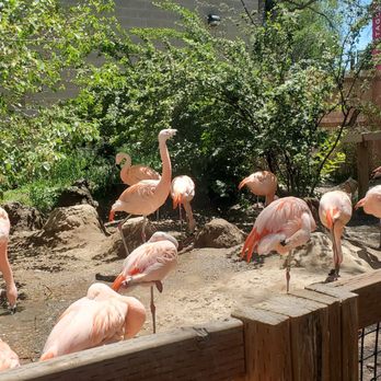 Idaho Falls Zoo - Zoos Near Me - Idaho Falls, Idaho Idaho Falls Zoo - Zoos Near Me - Idaho Falls, Idaho