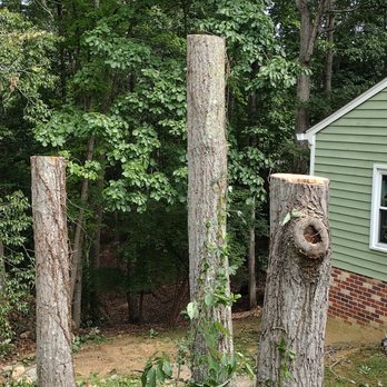 Mitchell Tree & Stump Service - Tree Services Near Me - Fredericksburg, Virginia Mitchell Tree & Stump Service - Tree Services Near Me - Fredericksburg, Virginia