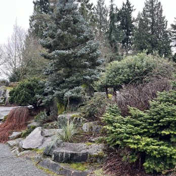 Bellevue Botanical Garden - Botanical Gardens Near Me - Bellevue, Washington Bellevue Botanical Garden - Botanical Gardens Near Me - Bellevue, Washington