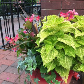 Jacob's Coffee House - Coffee & Tea Near Me - Washington, DC, District of Columbia