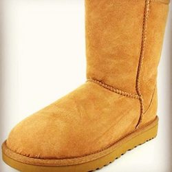 Roxanne's Birkenstock - Ugg Classic Short Chestnut