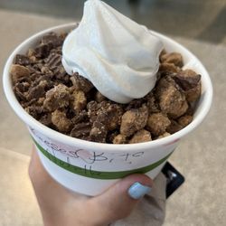 Vanilla frozen yogurt with Reese's bits and Nutella