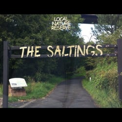 The Saltings - Amazing nature reserve under the Erskine Bridge, built on the banks of the River Clyde