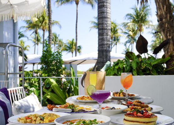 Meet Dalia - Mediterranean restaurant in Miami Beach by null