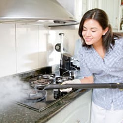 Big Apple Steam N Clean - We steam the whole kichen