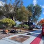 Photo of Triple V Tree Removal