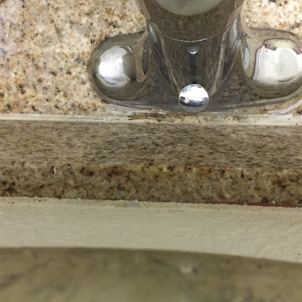 Crab leg behind faucet