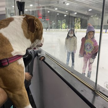 Pickwick Ice - Ice dog... not allowed without skates - Skating Rinks Near Me - Burbank, California