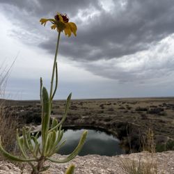 Bottomless Lakes State Park