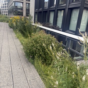 The High Line - Parks Near Me - New York, New York